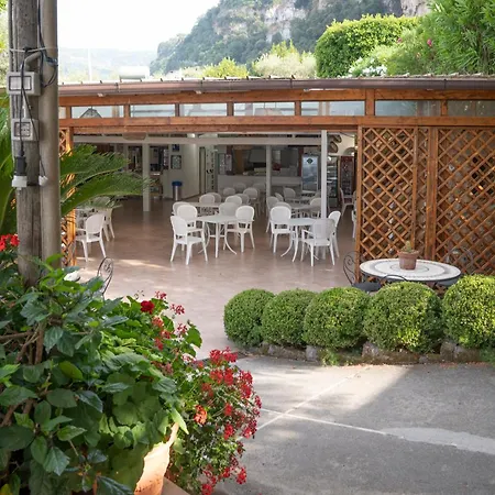 Camping Vintage Camper