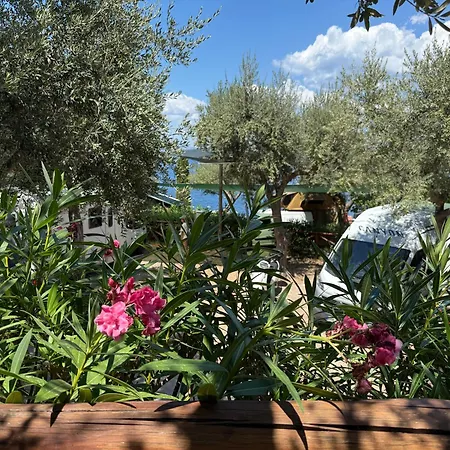 Vintage Camper Camping Sorrente