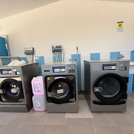 Campsite Vintage Camper *