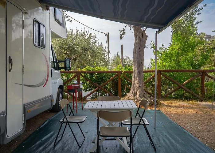Vintage Camper Campsite *