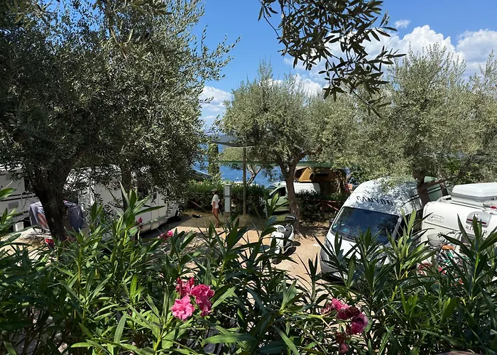 Vintage Camper 营地 *